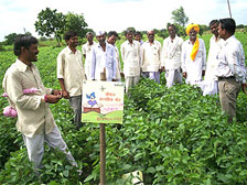 image of Choupal Pradarshan Khet image of Choupal Pradarshan Khet