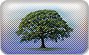 Sustainability